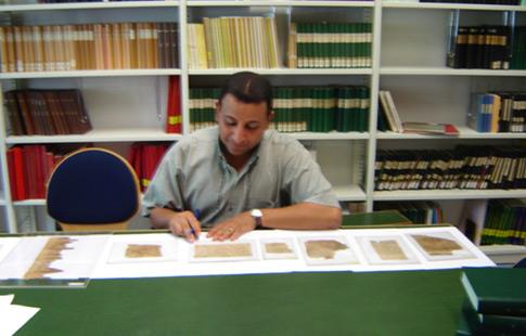 Le trésor des papyri arabes