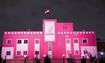 Le Conseil national de la femme illuminé en rose