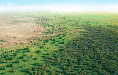 La grande muraille verte d’Afrique, un rempart contre la désertification